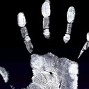 calamitystuff avatar