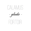 calamus-gladio-fortoir-blog avatar