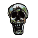 calavera7474 avatar