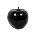 calebdatabase avatar