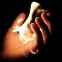 calebs-coat-collar avatar