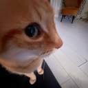 calebslittleapple avatar