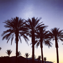 cali-vintage-finds avatar