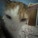 calianaartdump avatar