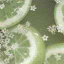 caliberclover avatar