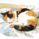 calicocat-suit avatar