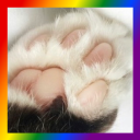 calicoconstellation avatar