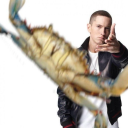 calicos-clones avatar