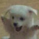 calidez-de-dos-almas avatar