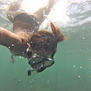 calif0rnia-dime avatar