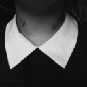 california-96 avatar