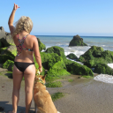 california-c-o-a-s-t-l-i-n-e avatar