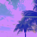 california-vaporwave avatar