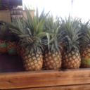 californiaandcoconuts avatar