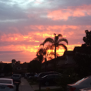 californiaboi avatar