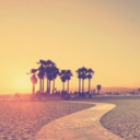 californiaconservatarian avatar