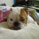 californiafries avatar