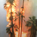 californiakiddooo avatar