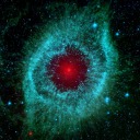 call-in-the-night avatar