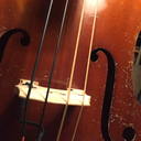 call-me-nathan avatar