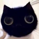 call-me-space-pants avatar