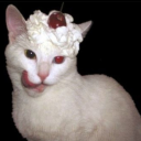 call-me-whateverr avatar