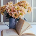 calle-de-escritos-perdidos avatar