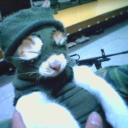 calle-sin-vozz avatar