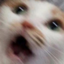 callelindberg avatar