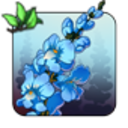 callie-dragons avatar