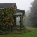 calling-grace avatar