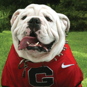 calling-the-dawgs avatar