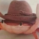 callisto-the-silly avatar