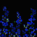 callistoscope avatar