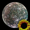 callistosghost avatar