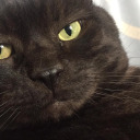 callithowyouwantit avatar