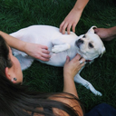 callloohcalllay avatar