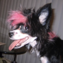 callmeroygbiv avatar