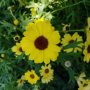 callmespookyg avatar