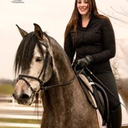 callmetrepidation avatar