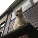 callmeyesterday avatar