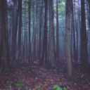 calm-your-soul avatar