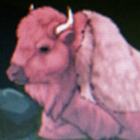 calmbuffalo avatar