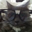 calmkittys avatar
