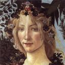 calmsupernova avatar