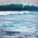 calmunderwater avatar