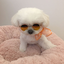 calmwife avatar