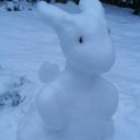 calyxborealis avatar