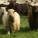 cambiodecodigo avatar