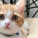 cambios-radicales avatar